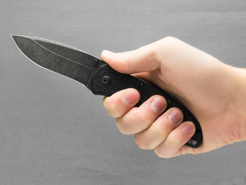 Kershaw Blur - Black Blackwash (1670BW) 2 Kershaw Blur - Black Blackwash (1670BW) - Image 2